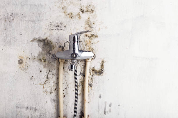 Professional Mold Remediation in Far Hills, NJ