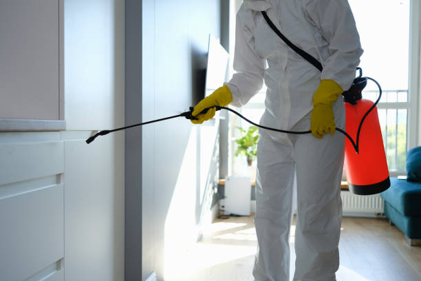 Best Black Mold Remediation in Far Hills, NJ