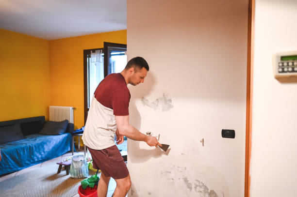 Best Mold Testing and Inspection Services in Far Hills, NJ